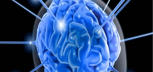 Investigan sobre la reacci&oacute;n de las neuronas ante el trauma