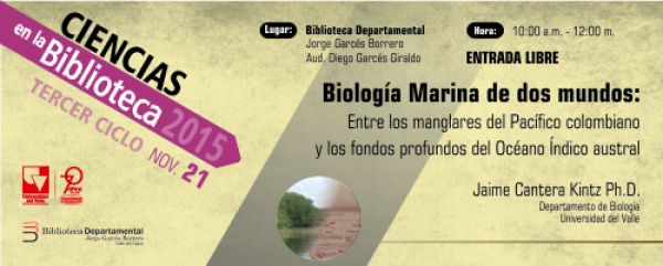 Entre los manglares y el fondo del Oc&eacute;ano &Iacute;ndico