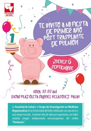 Perspectivas positivas para trasplantes en humanos