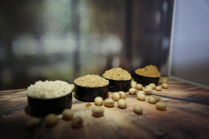 Prote&iacute;nas a base de plantas: el futuro de la alimentaci&oacute;n sostenible