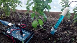 Emprendimiento al servicio del campo