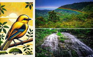 Las aves como integradoras de la paz con la naturaleza y la biodiversidad