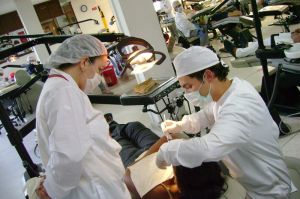 Investigaci&oacute;n permitir&iacute;a disminuir tiempo en tratamientos de Ortodoncia