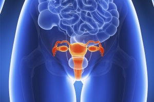 Mortalidad por c&aacute;ncer de cuello uterino es mayor de lo pensado, dicen expertos