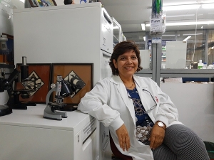 Investigadores impulsan industria porcina