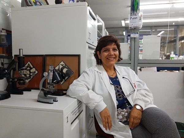 Investigadores impulsan industria porcina