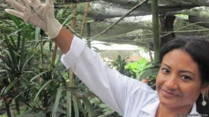 Prensa internacional destaca invento de Univalluna