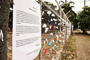 &iexcl;Mariposas por el HUV!