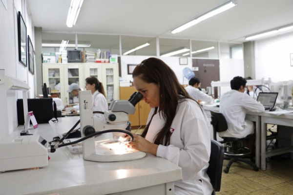 Universidad del Valle, la segunda en el Top of Mind de los colombianos