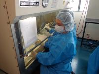 Se patenta primer tratamiento no quir&uacute;rgico contra el c&aacute;ncer en Colombia