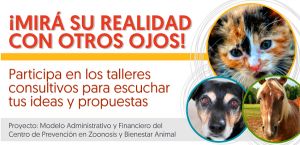 Construcci&oacute;n colectiva del Centro de prevenci&oacute;n en Zoonosis de Cali