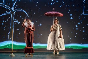 Teatro Alem&aacute;n en Cali