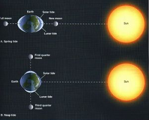 &ldquo;La Marea del Siglo&rdquo; no es el Apocalipsis