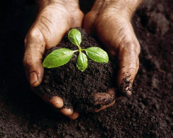 Seminario agroecolog&iacute;a y biotecnolog&iacute;a del suelo
