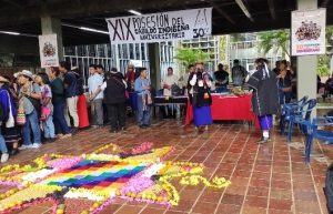 30 a&ntilde;os de proceso, 20 a&ntilde;os de Cabildo