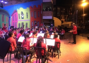 Licenciatura en M&uacute;sica con Alta Calidad