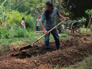 Huertas urbanas: resistencia social y ambiental en la ciudad