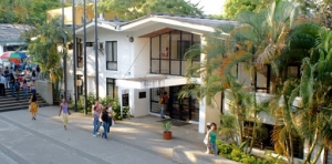 Facultad de Salud apoya estrategia de la Alcald&iacute;a de Cali contra el Covid-19