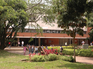 Comunicado de la rector&iacute;a al profesorado y a la comunidad universitaria