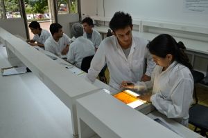 Abiertas inscripciones a posgrado