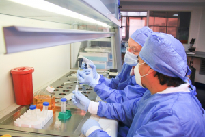 La investigaci&oacute;n, un pilar fundamental del posicionamiento acad&eacute;mico de la Universidad