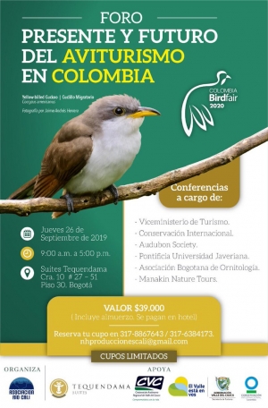 Egresada de la Universidad del Valle en lanzamiento de &ldquo;Colombia Birdfair 2020&rdquo;