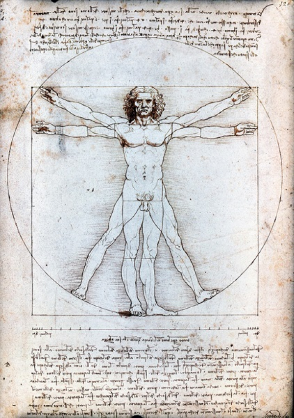 Da Vinci enga&ntilde;&oacute; a los cient&iacute;ficos durante 500 a&ntilde;os