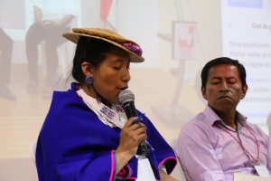 Foro para la Salud P&uacute;blica SISPI: Sistema Ind&iacute;gena De Salud Propia