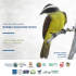 Ciclo de conferencias: ecolog&iacute;a y conservaci&oacute;n de aves