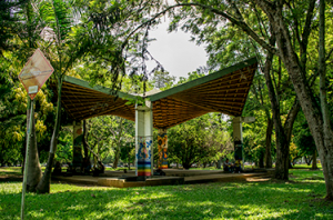 Posesi&oacute;n del Cabildo Ind&iacute;gena Universitario 2025-2026