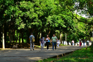 Las universidades de Colombia mejor calificadas para una maestr&iacute;a o doctorado