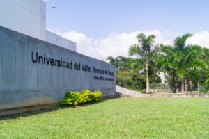 Servicio de Salud abre formulario de consulta sobre Covid-19