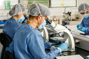 La investigaci&oacute;n nos mueve: I Encuentro IDiCA