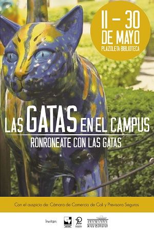 Las gatas en el Campus