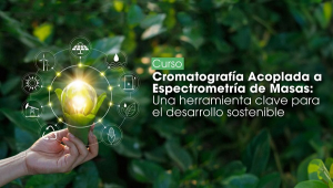 Inscripciones al curso Cromatograf&iacute;a Acoplada a Espectrometr&iacute;a de Masas: Una herramienta clave para el desarrollo sostenible