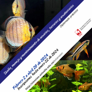 II Diplomado en acuarios, terrarios y acuaterrarios