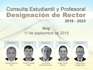 Consulta estudiantil y profesoral