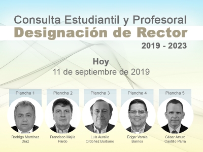 Consulta estudiantil y profesoral