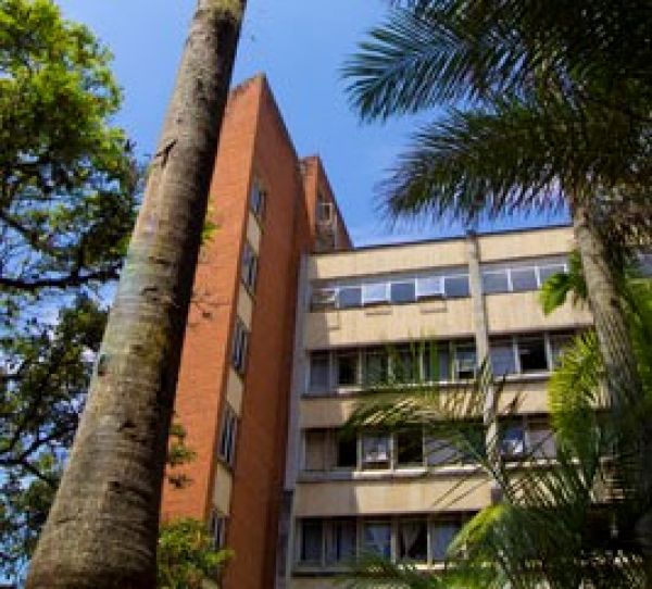 Facultad de Ingenier&iacute;a, activa en los Procesos de Internacionalizaci&oacute;n