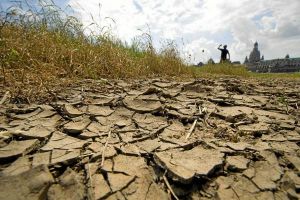 Informe nacional sobre el Ni&ntilde;o en Univalle