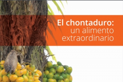 Harina de chontaduro: una soluci&oacute;n alimenticia durante la pandemia