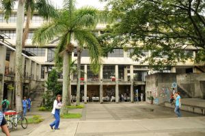 Telesalud: una oportunidad para la medicina en el Valle