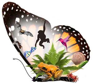 La Biolog&iacute;a del Valle se Viste de Oro