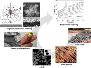 Dise&ntilde;an sensor para detectar aguas contaminadas con mercurio