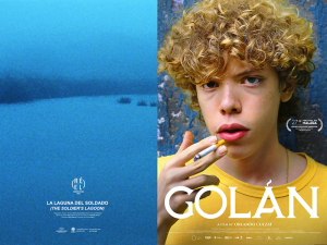 Festival Internacional de Cine de Cali: 16 a&ntilde;os de cine y arte expandido