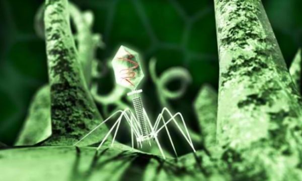 Universidad del Valle aporta en soluciones al tratamiento de c&aacute;ncer