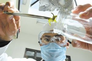 En Colombia publican art&iacute;culos cient&iacute;ficos que pocos citan