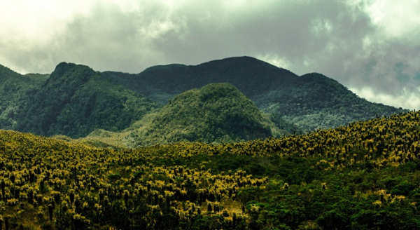 La transformaci&oacute;n de Cali: el impacto de la COP16