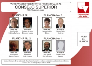 Candidatos a representaci&oacute;n profesoral