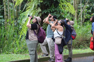 FAI impulsa nuevos observatorios ambientales para el sur de Cali